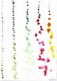 /album/embodied-intersubjectivity1/petr-urban-3-jpg/